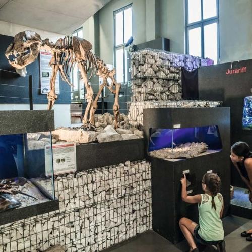 Dinosaurierskelett und Kinder, Foto: Stadt Giengen Dinosaurierskelett und Kinder, Foto: Stadt Giengen