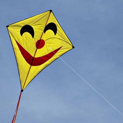 Gelber Einleiner-Flugdrache mit Gesicht, Foto: Pixabay