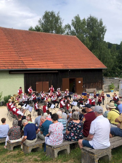 Das Städtische Blasorchester spielte letztes Jahr im Brenzpark. Foto: Stadt Heidenheim