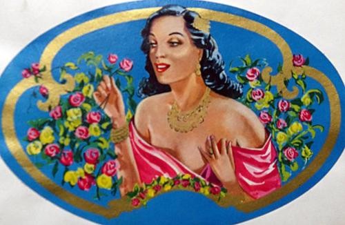 Stoffdruck Portrait einer Dame Stoffdruck Portrait einer Dame