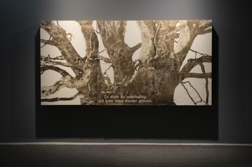 Blick in die Ausstellung: Baum Blick in die Ausstellung: Baum