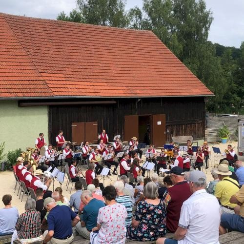 Das Städtische Blasorchester spielte letztes Jahr im Brenzpark. Foto: Stadt Heidenheim