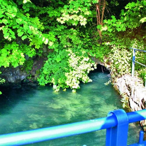 Geländer, Wasser mit Blattwerk im Hintergrund, Foto: Stadt Heidenheim Geländer, Wasser mit Blattwerk im Hintergrund, Foto: Stadt Heidenheim