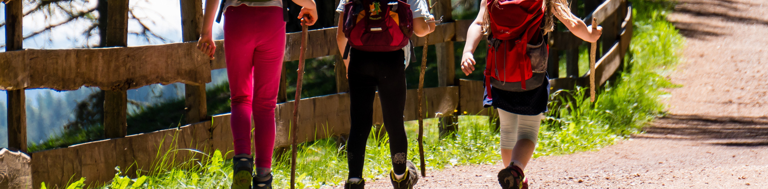 Gruppe beim Wandern im Wald Gruppe beim Wandern im Wald