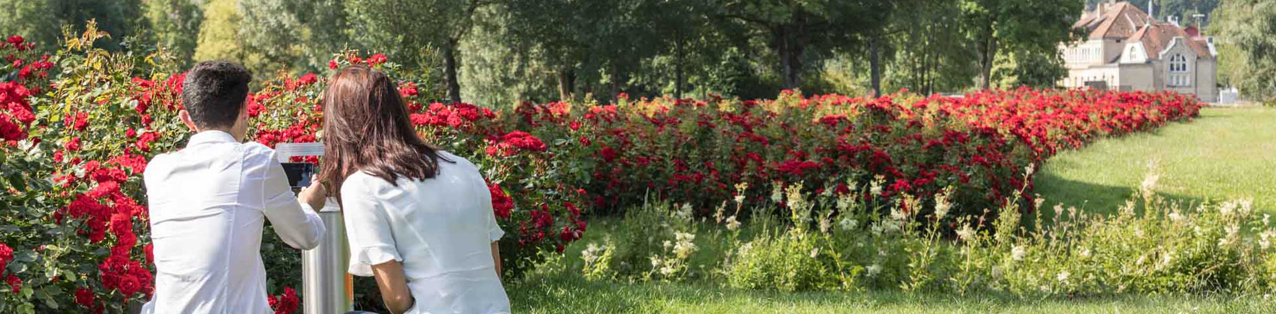 Zwei Personen hockend im Rosenbeet, Foto: SAT, Thomas Rathay