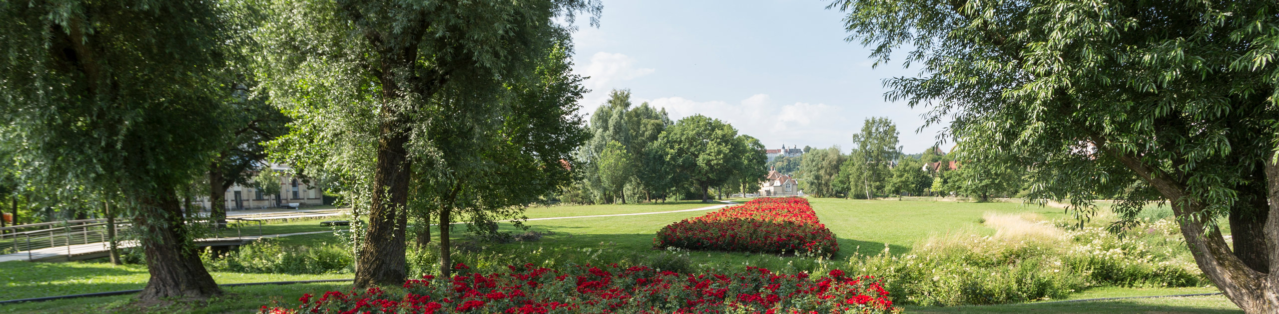 Blumenteppich Brenzpark, Foto: SAT Thomas Rathay