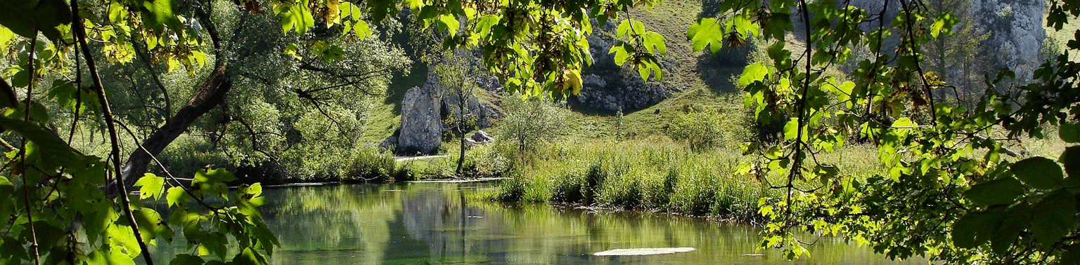 Gewässer - im Hintergrund Felsformationen